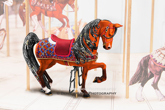 Sassie Mae Carousel Ride