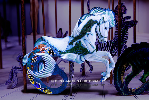 Guardian Carousel Ride